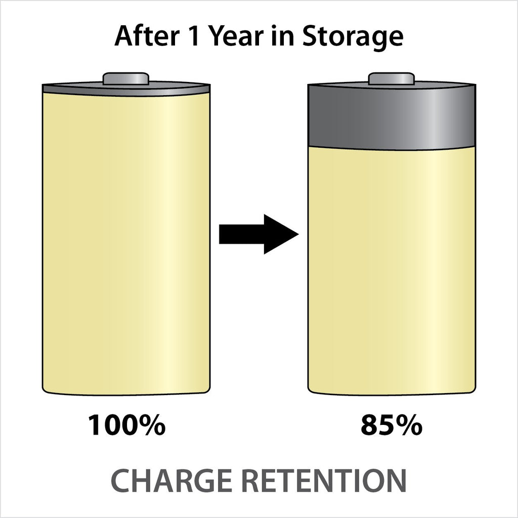 Rechargeable NiMH D Batteries 2-pack D38691