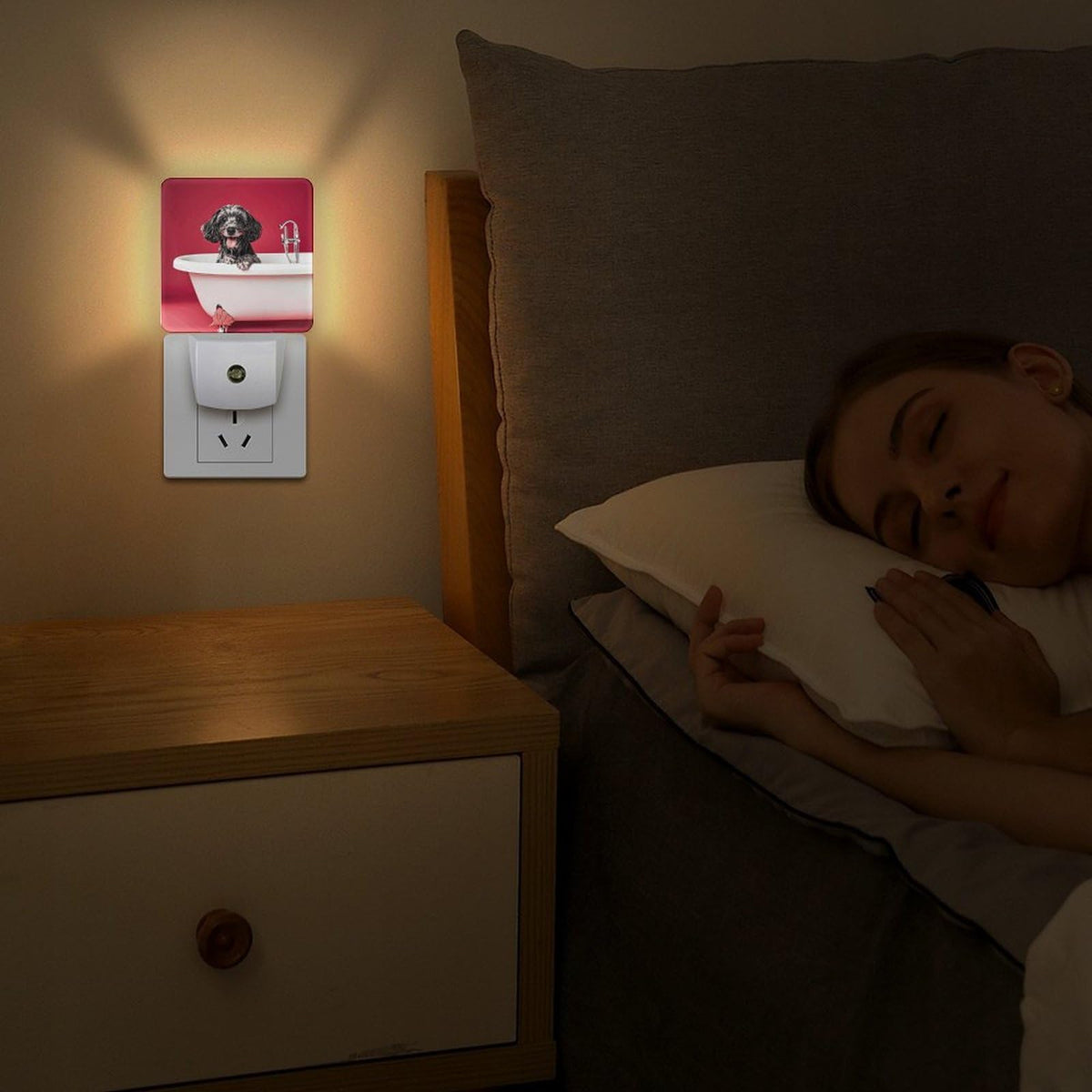 LED Night Lights Plug Into Wall with Dusk to Dawn Sensor S582702