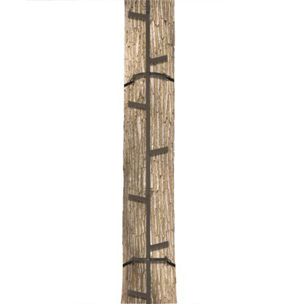 Climbing Ladder Sticks, 20 ft Portable V675723