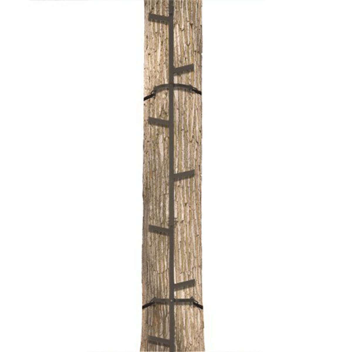 Climbing Ladder Sticks, 20 ft Portable V675723