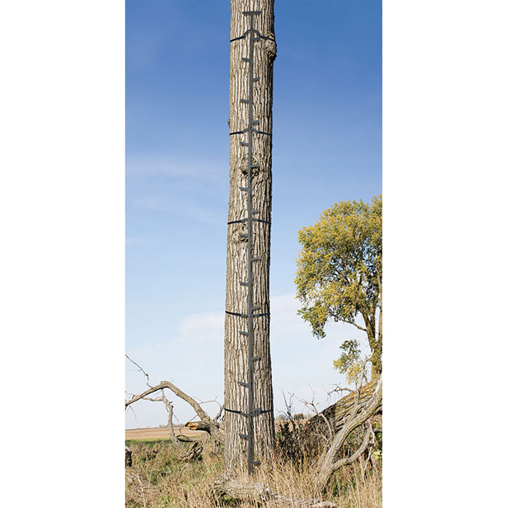 Climbing Ladder Sticks, 20 ft Portable V675723