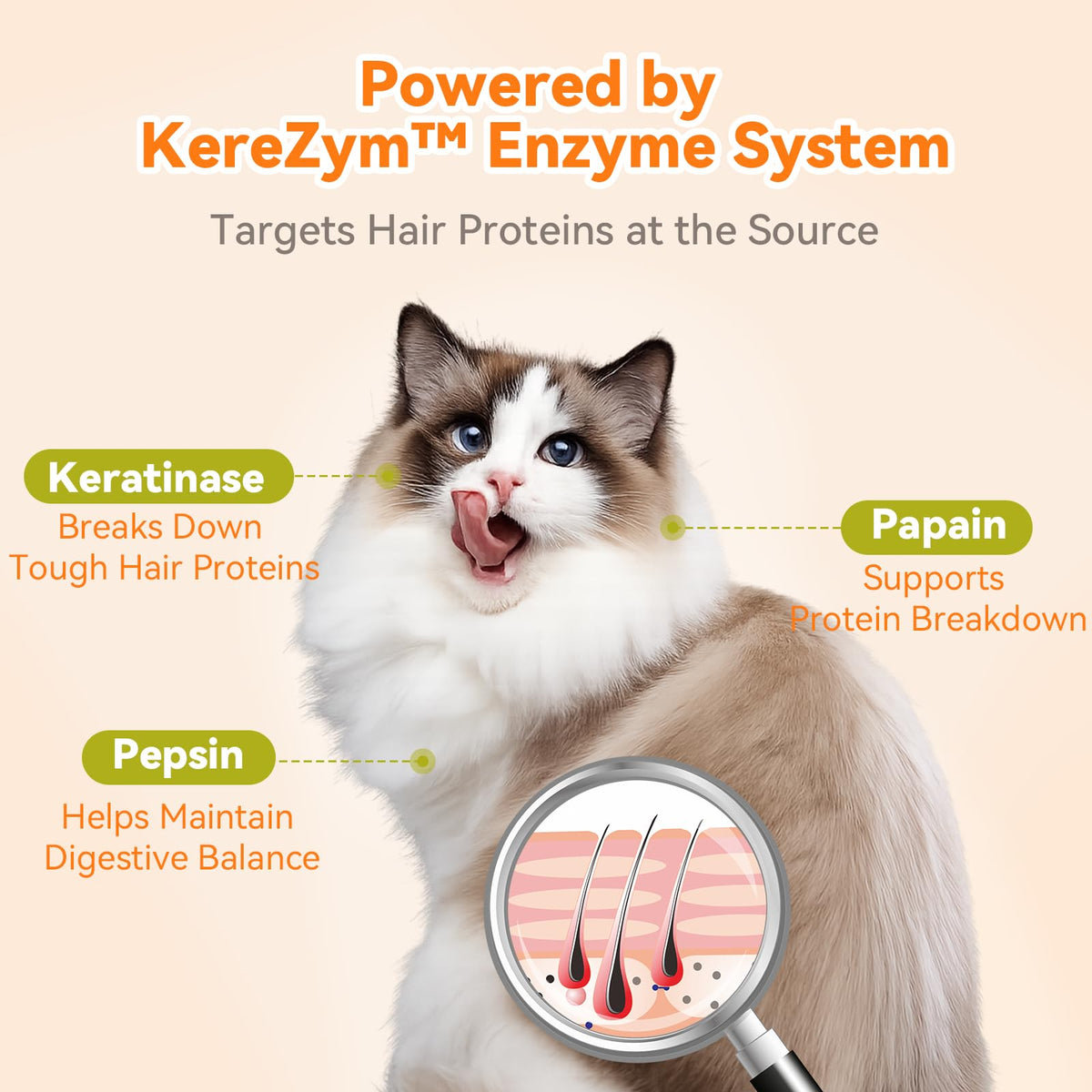 Cat Hairball Control 90 Count N304
