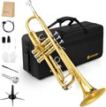 Bb Trumpet Gold Finish Brass L10364