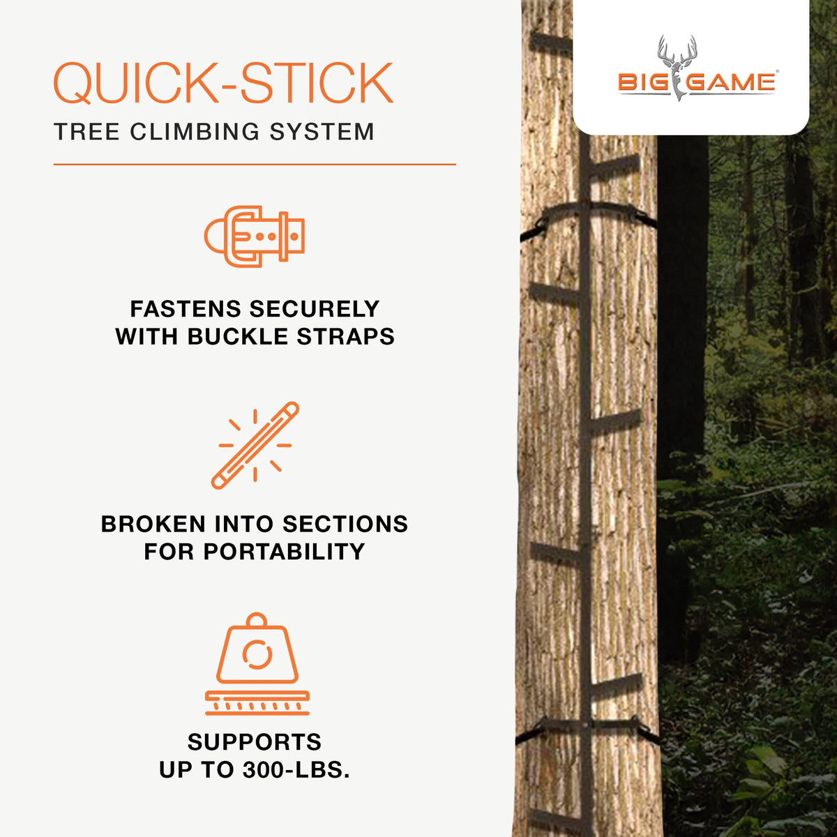 Climbing Ladder Sticks, 20 ft Portable V675723