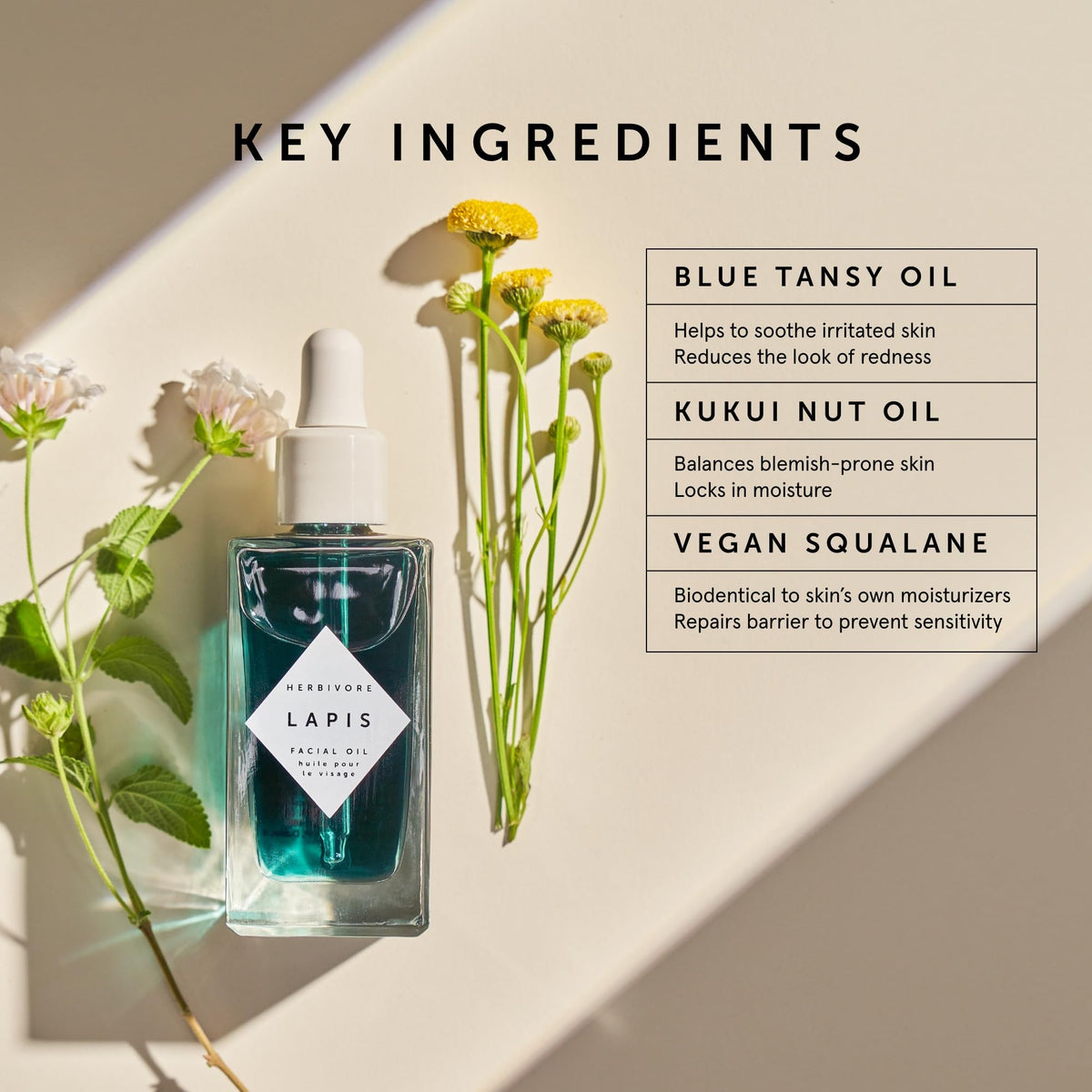 Lapis Blue Tansy Facial Oil F576309