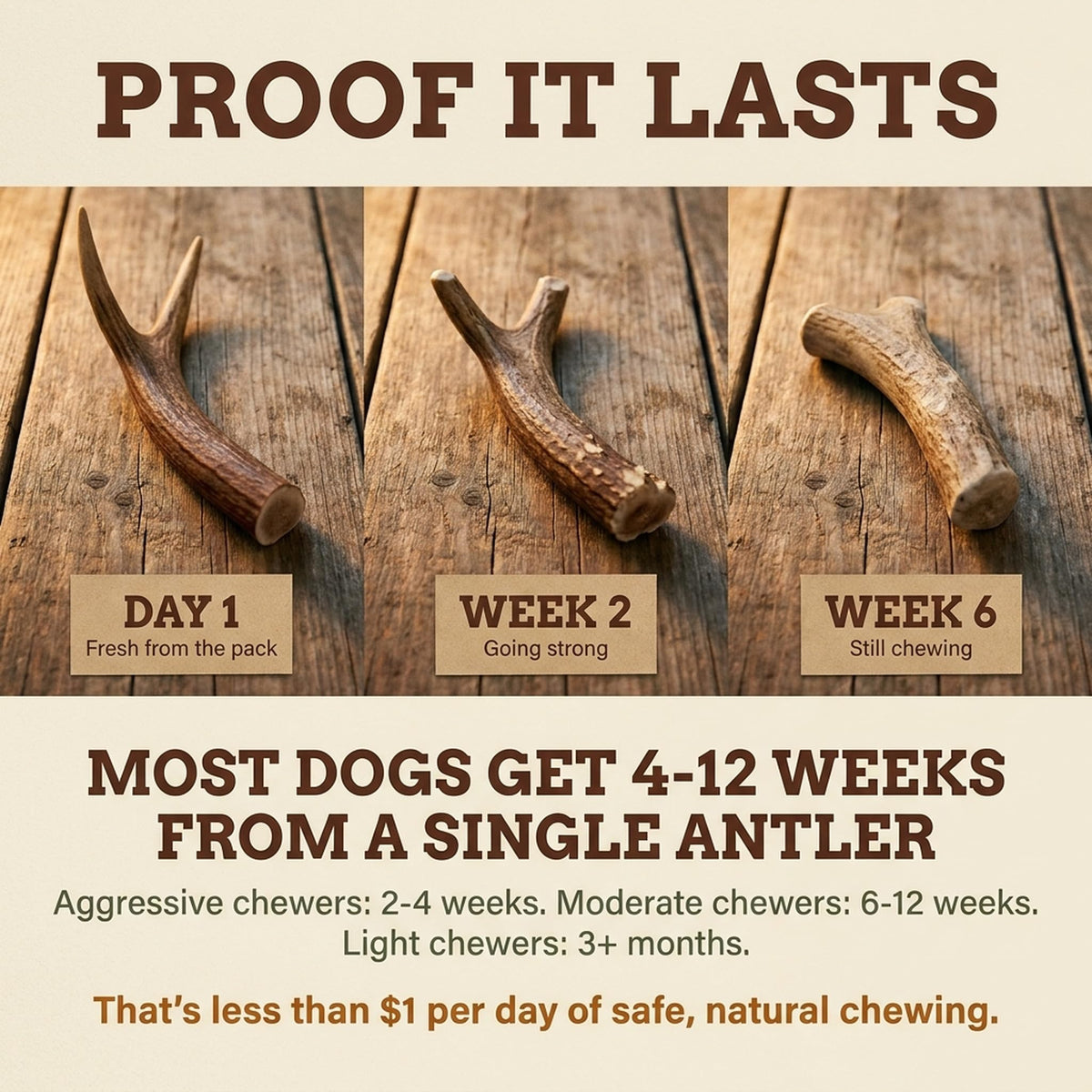 Deer Antler Dog Chew XL 8-10 in X159397