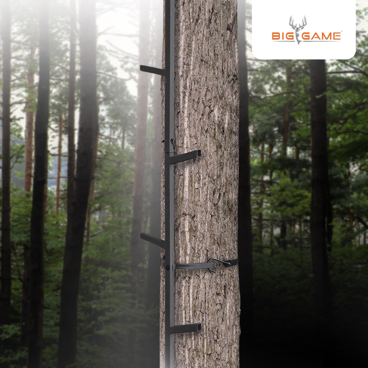 Climbing Ladder Sticks, 20 ft Portable V675723