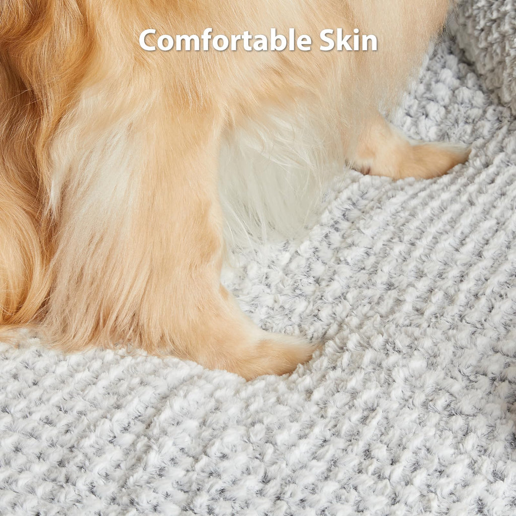 Washable Orthopedic Dog Bed Z992385