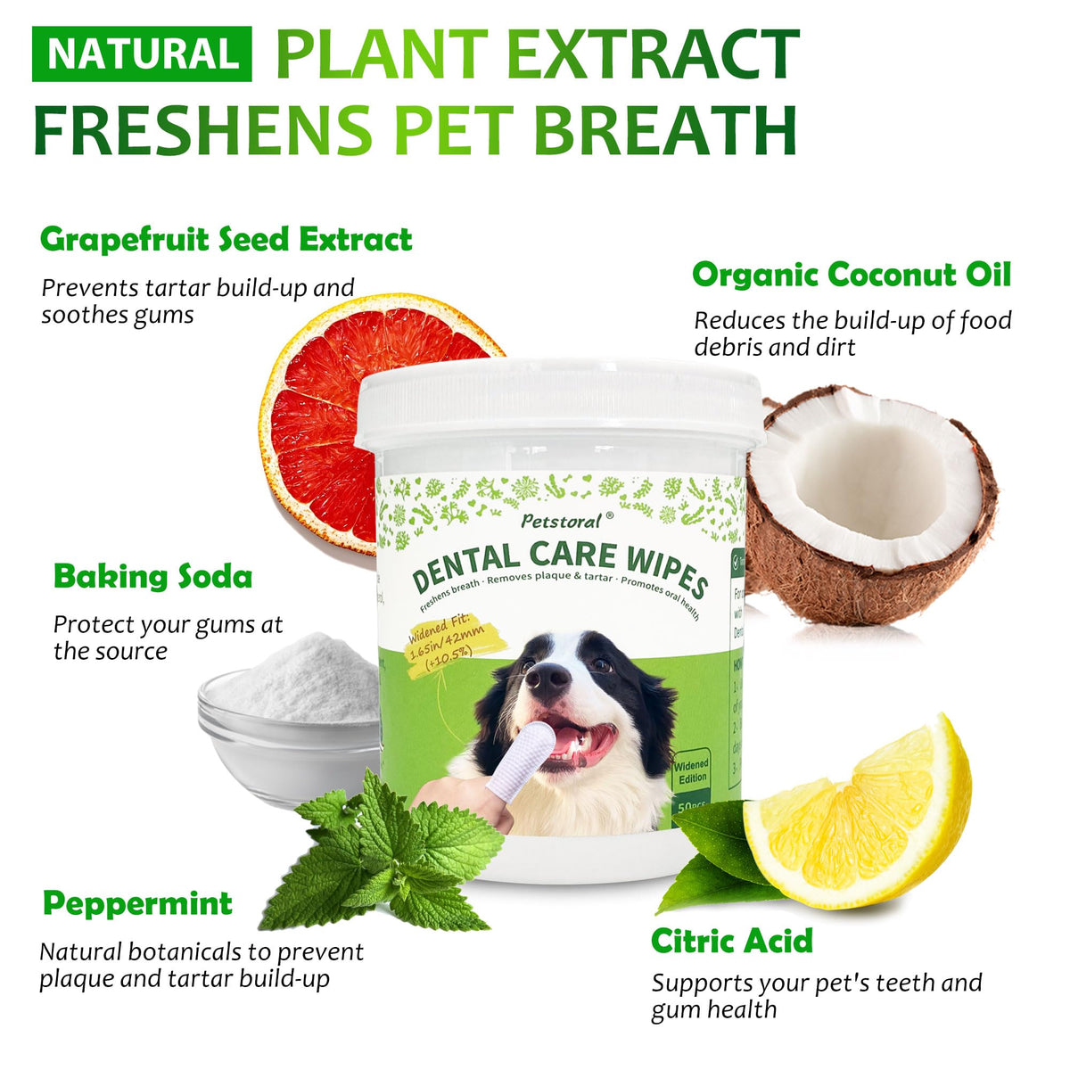 Dental Care Wipes for Dogs and Cats, 50 Count G4709