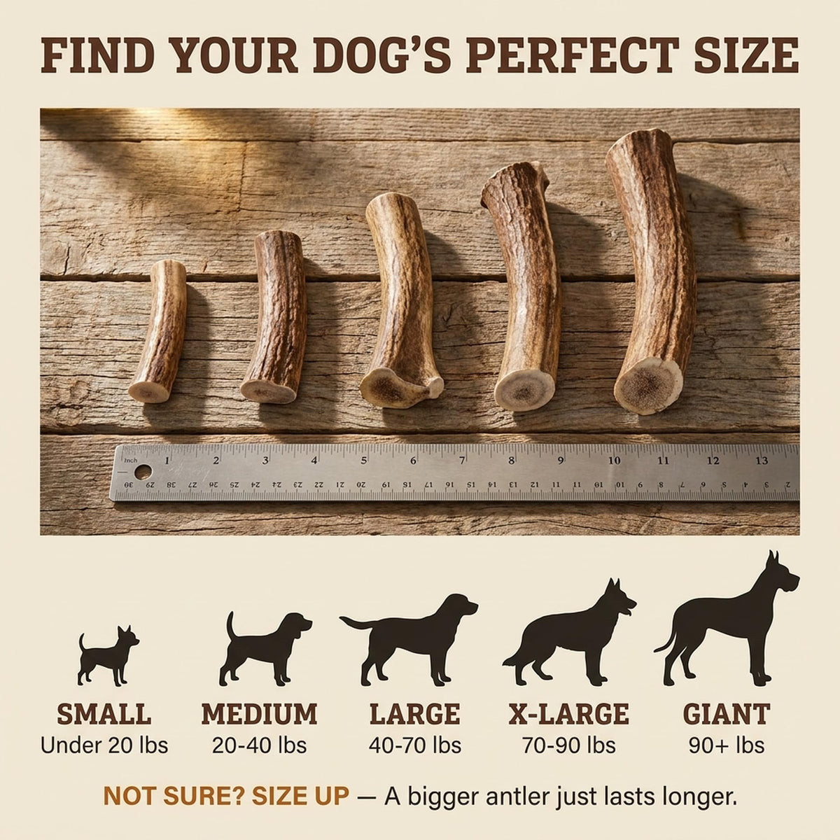Deer Antler Dog Chew XL 8-10 in X159397