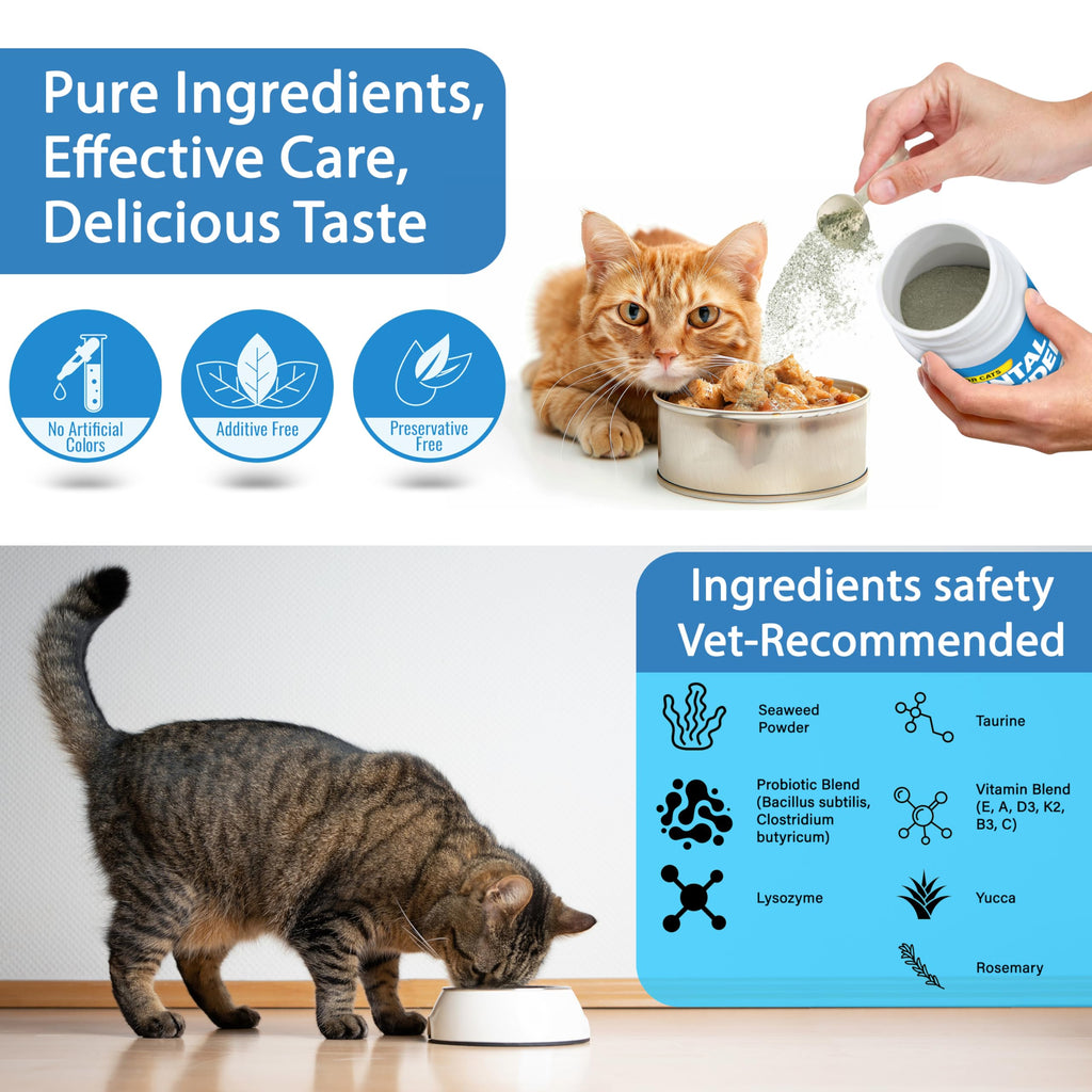 Cat Dental Powder H498