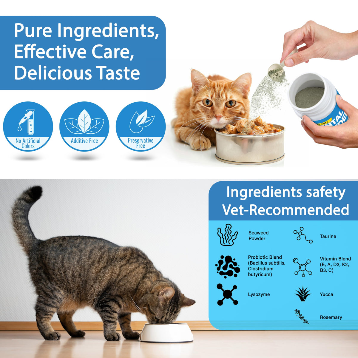 Cat Dental Powder H498