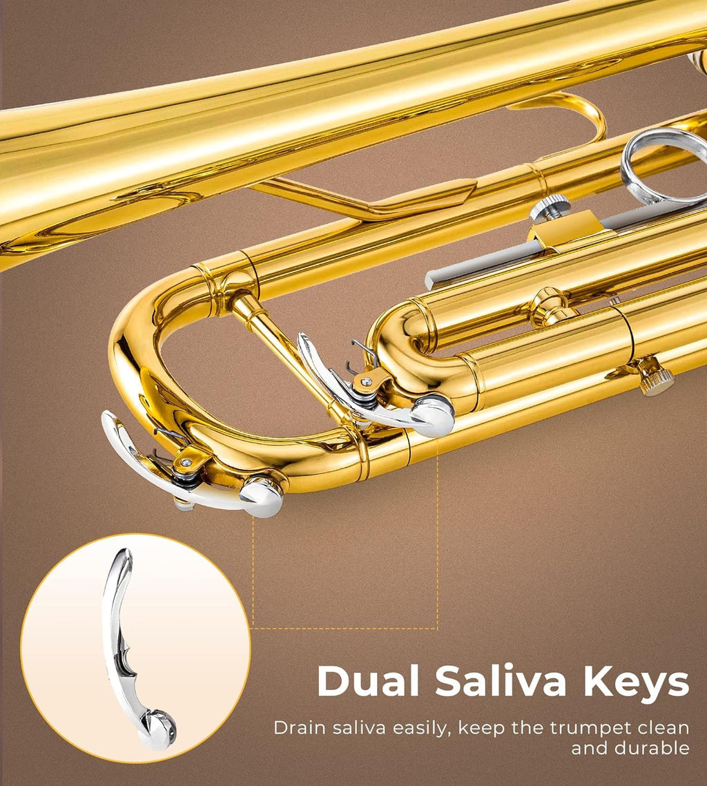 Bb Trumpet Gold Finish Brass L10364