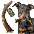 Deer Antler Dog Chew XL 8-10 in X159397