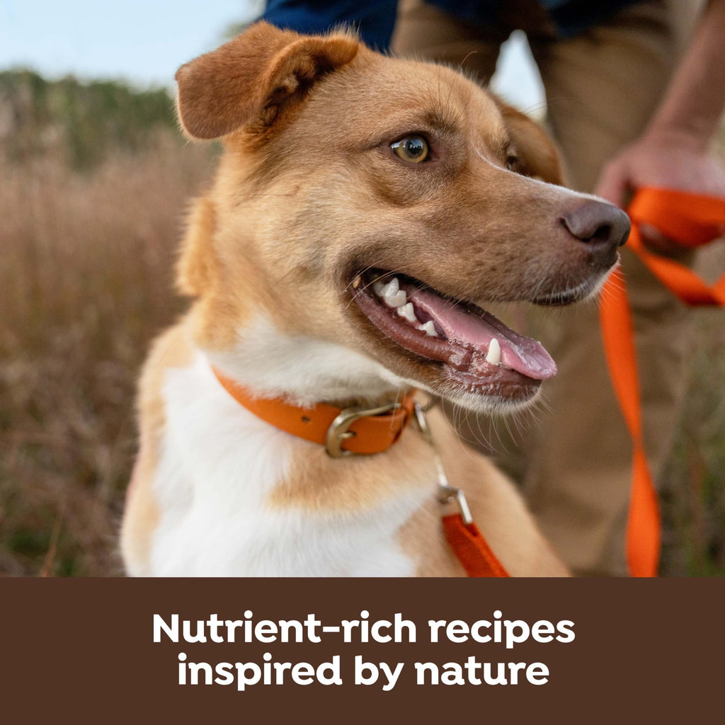 Freeze Dried Dry Dog Food 10.5 lb Bag I470