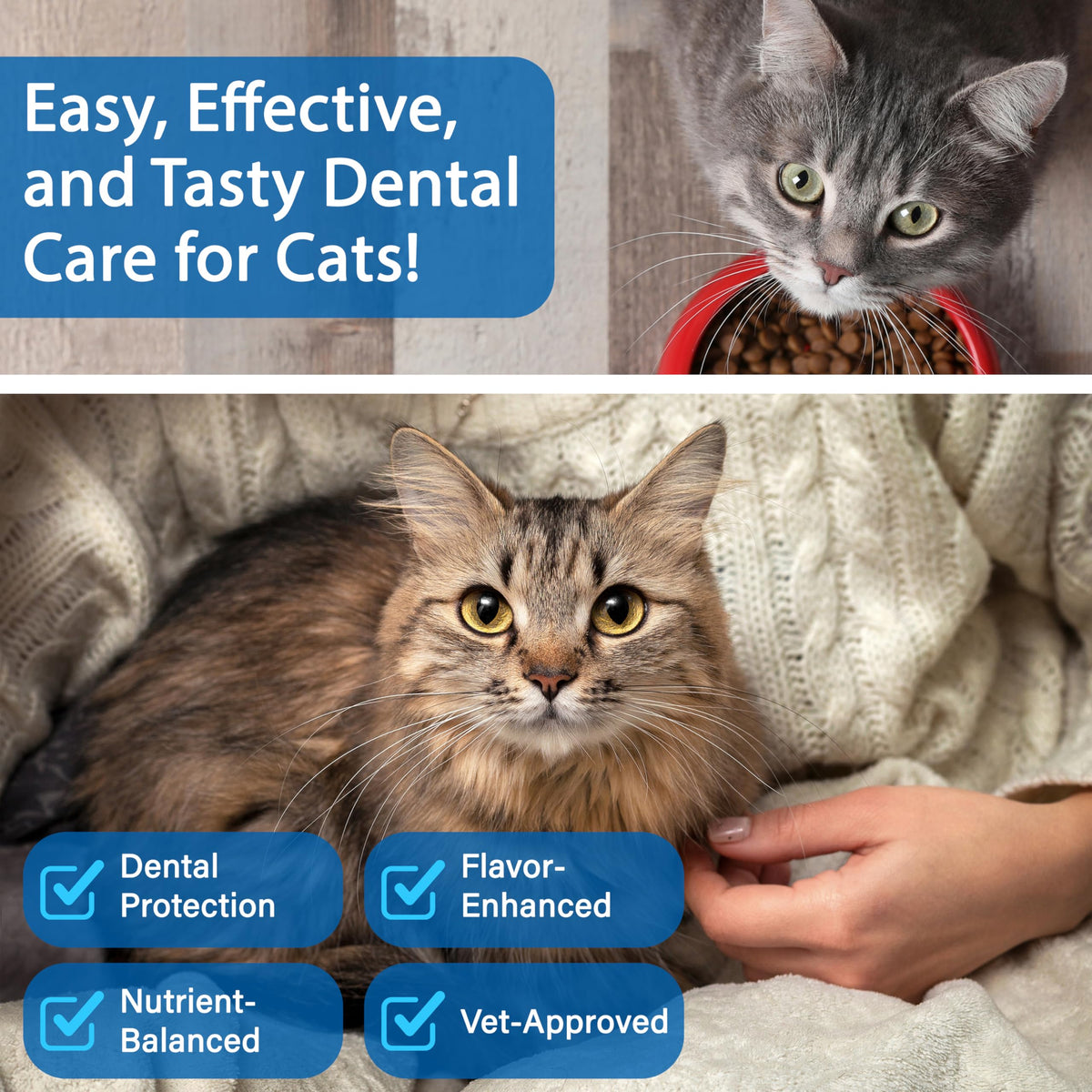 Cat Dental Powder H498