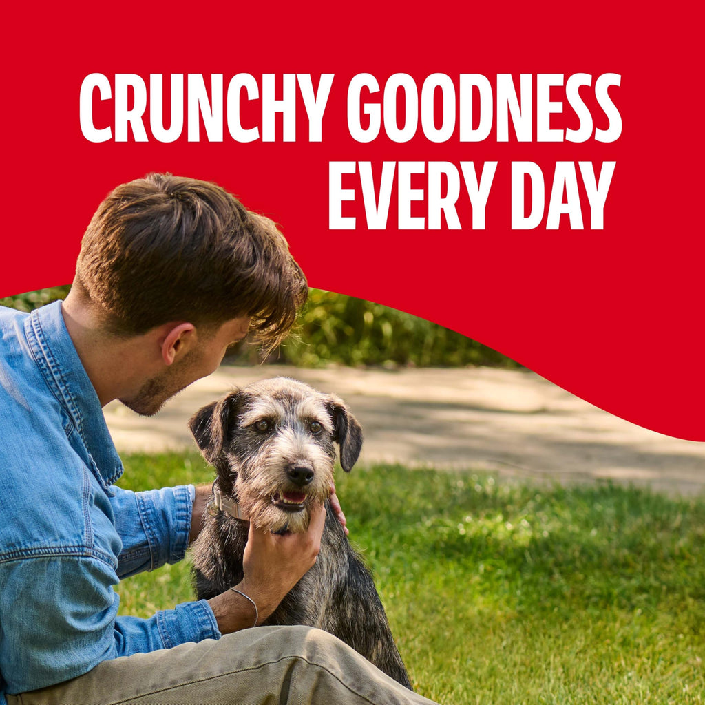 Gravy Coated Small Dog Biscuits B6005