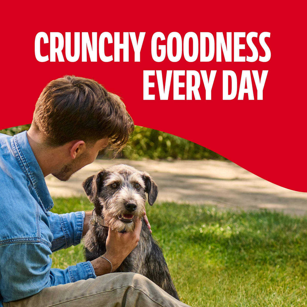 Gravy Coated Small Dog Biscuits B6005