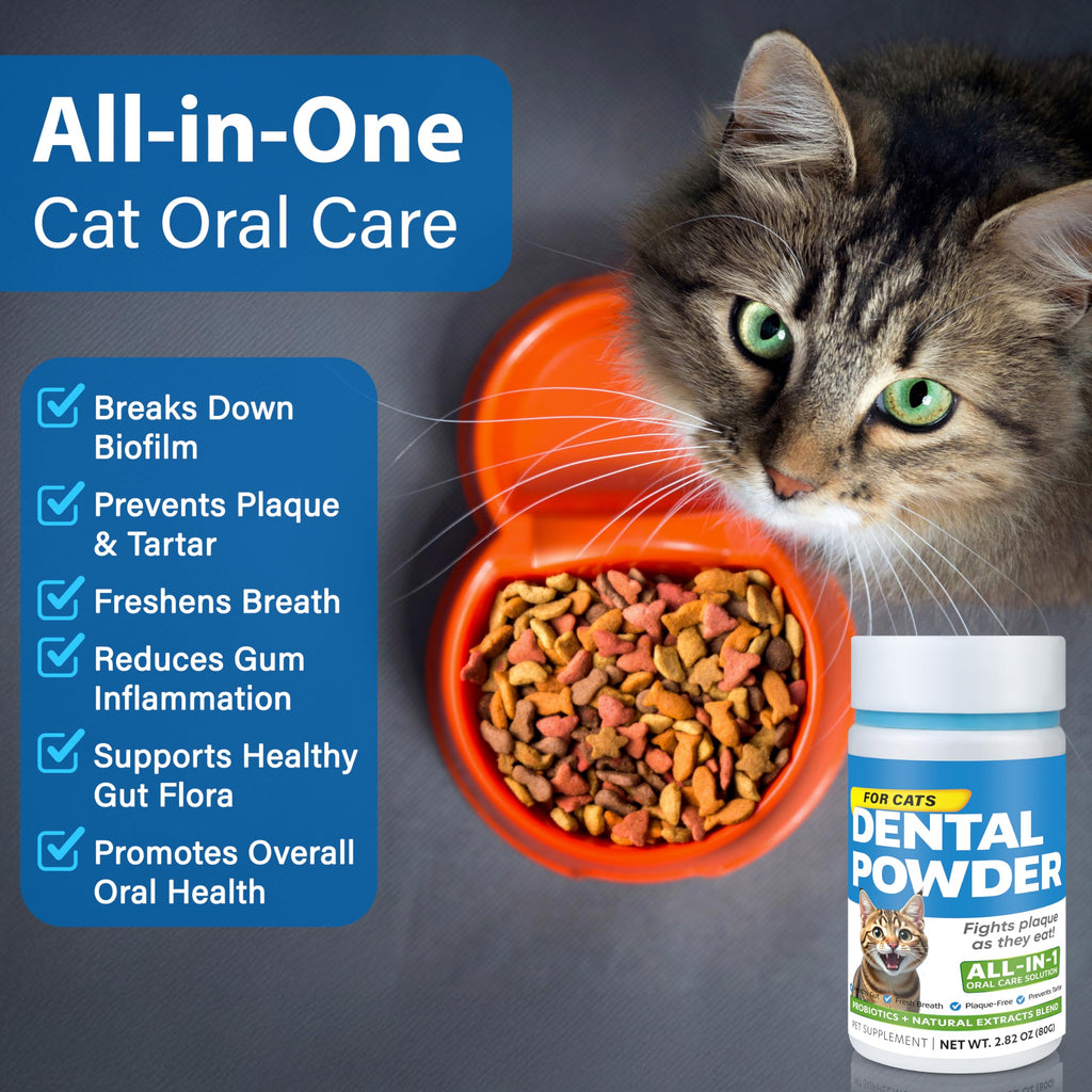 Cat Dental Powder H498