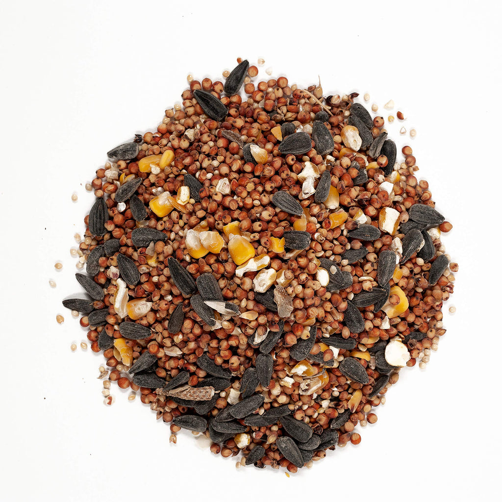 Wild Bird Food with Cherry Flavor 20-Pound Bag and Black Oil Sunflower Seed 5-Pound J97743
